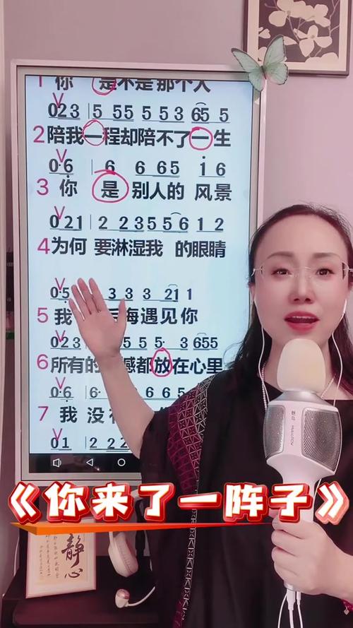 直播间经常放的歌曲
