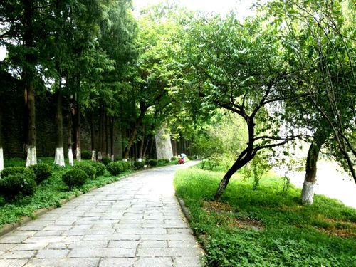 林荫图片