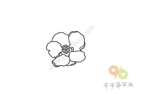 海棠怎么上