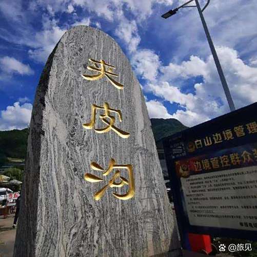 森林矿场最新消息