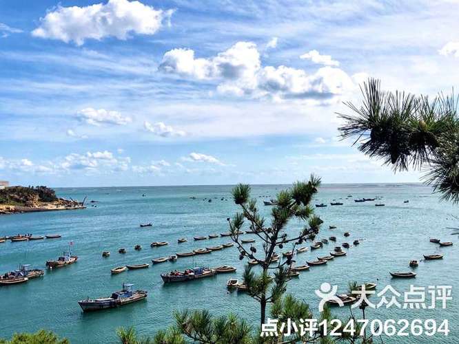 爱伦湾海洋牧场