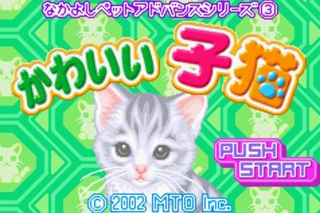 猫咪主人打游戏