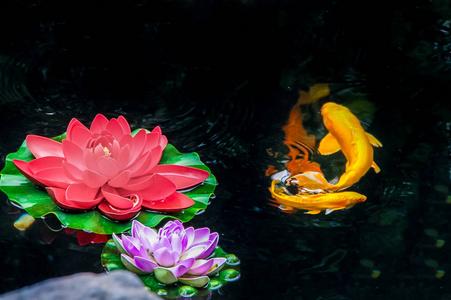 鱼花图片