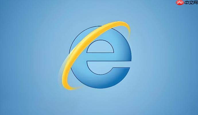 ie网页版登录入口图标