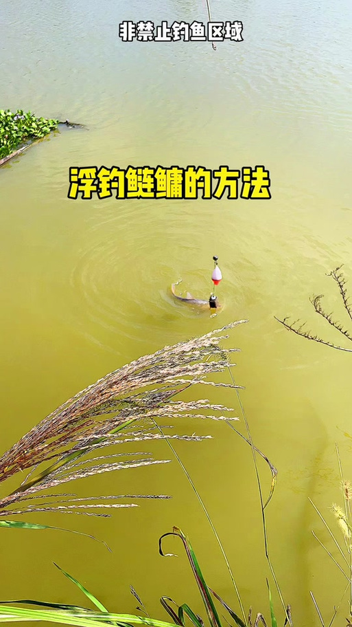 钓浮方法图解大全