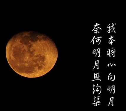 我将真心照明月图标