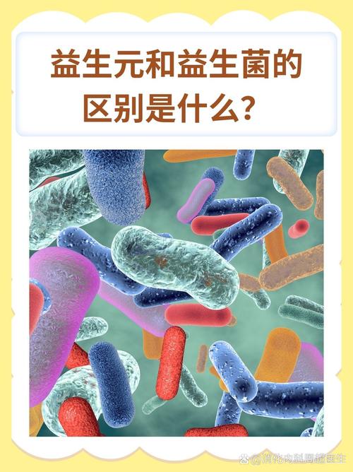 鱼用益生菌放了6年还能吃吗