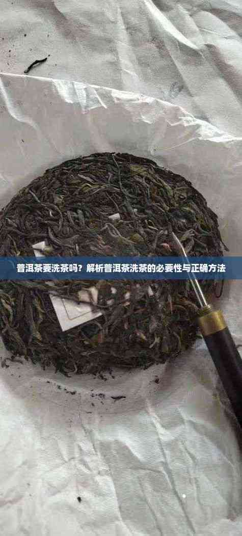 普洱茶需要洗茶吗