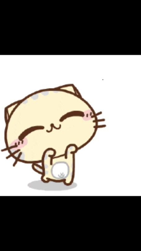 cc猫左右摇摆表情包