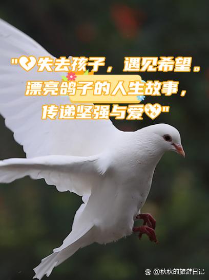 我的幸福人生1.71更新了什么