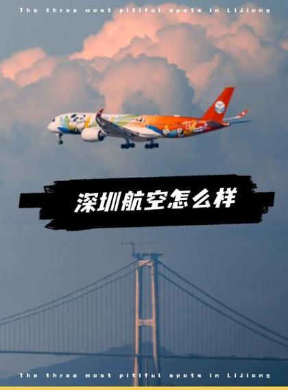 深圳航空App 哪里查同行人