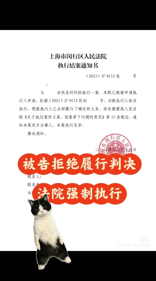 强制执行请律师有用吗