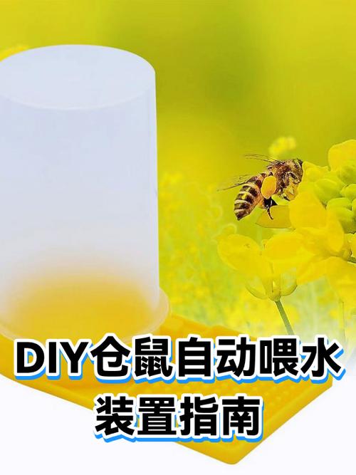 矿泉水瓶制作仓鼠滚轮缩略图