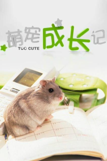 萌宠养成记缩略图