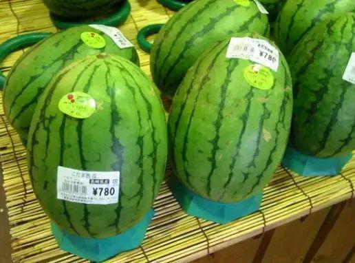 一个西瓜多少钱