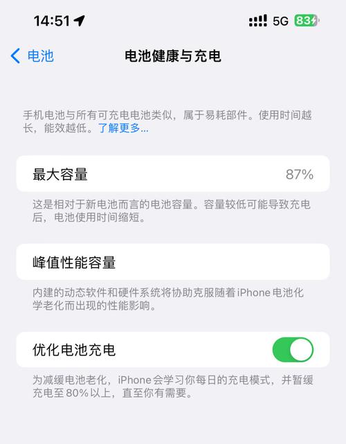 苹果手机最大容量99怎么变成100
