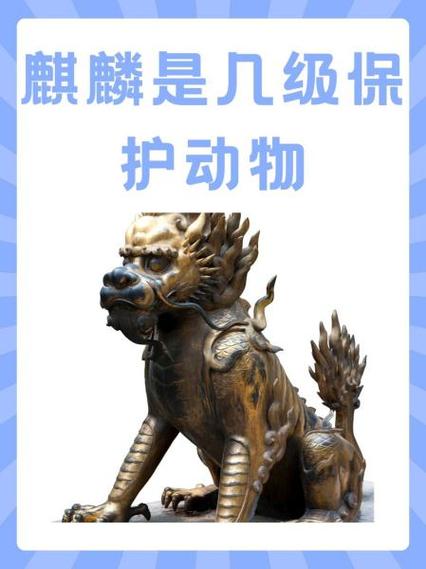 二级麒麟永久激活码2021
