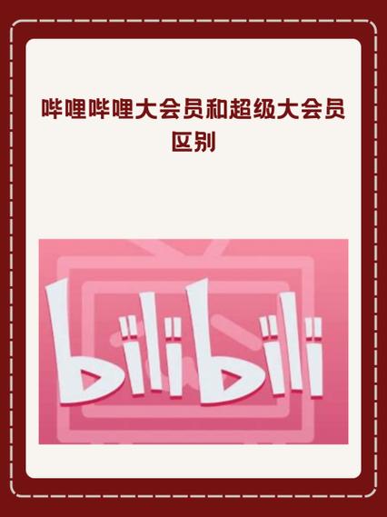 b站超级大会员能登几个电视截图