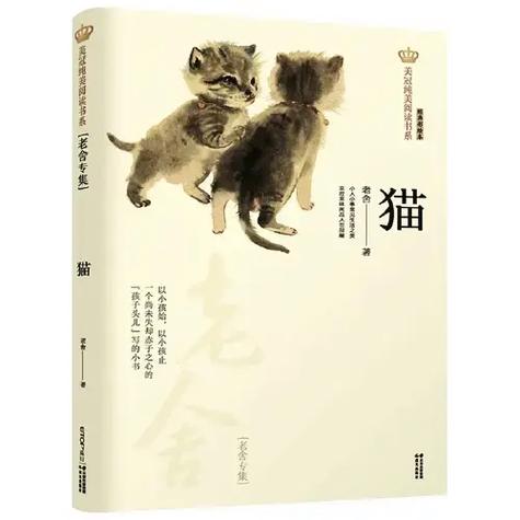 看书猫怎么看小说