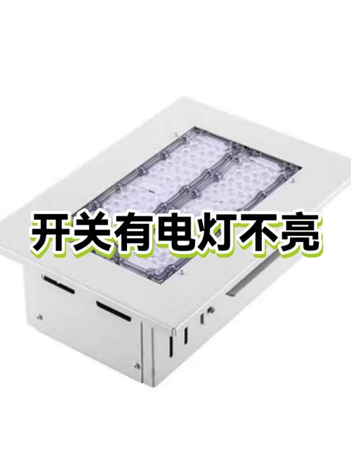 家里所有电器都有电就是灯不亮