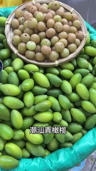 青橄榄一般去哪里买