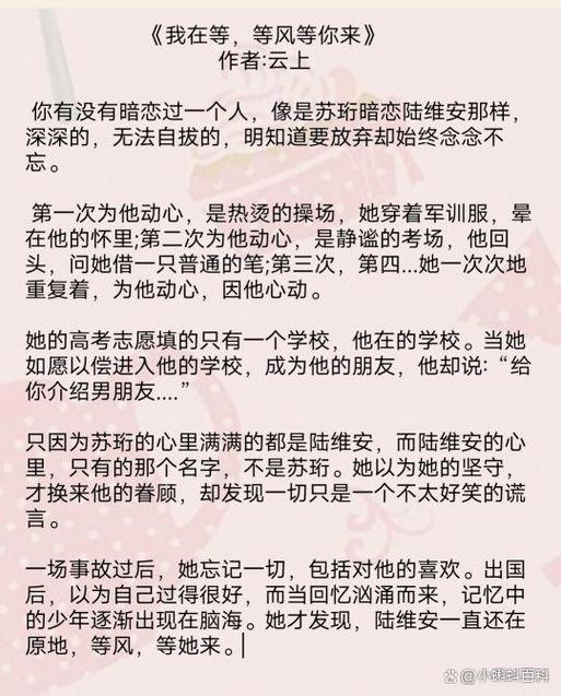 十部顶级耐看小说暗恋缩略图