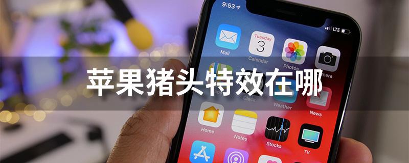 ios猪头特效在哪里找