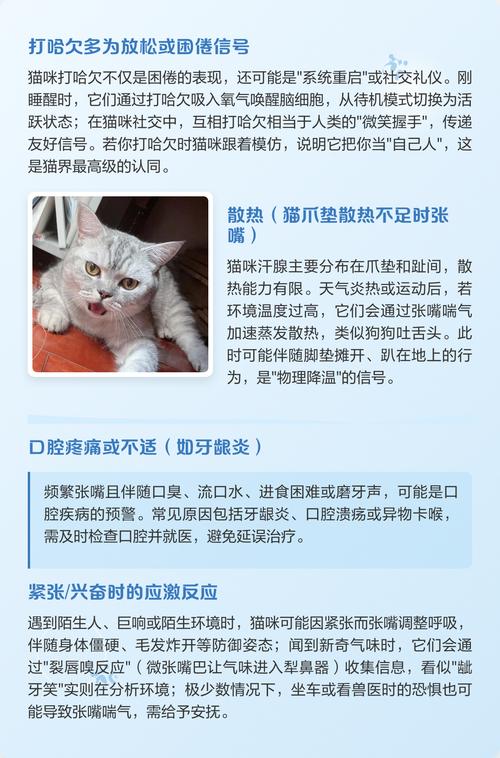 张大仙出名的原因