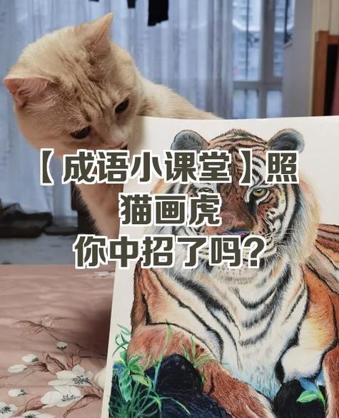 男生把女生比喻成猫