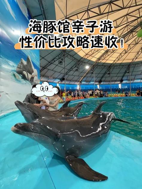 海豚打卡app可靠吗截图