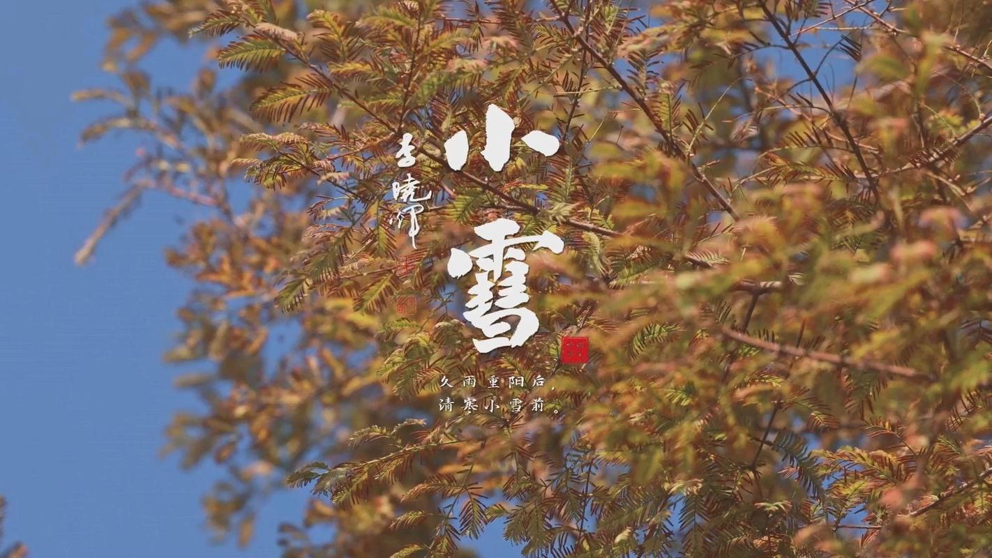 宁小雪拍视频一年挣多少钱