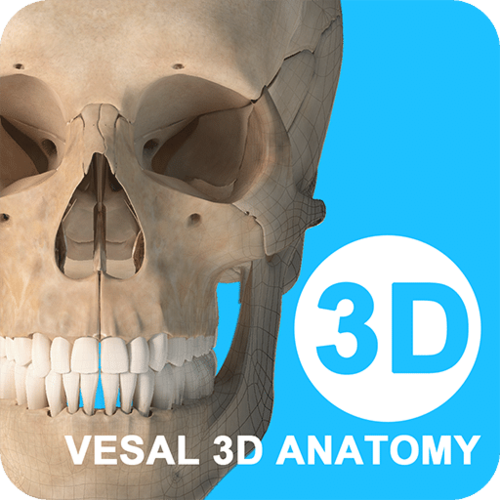 维萨里3D官网登录入口