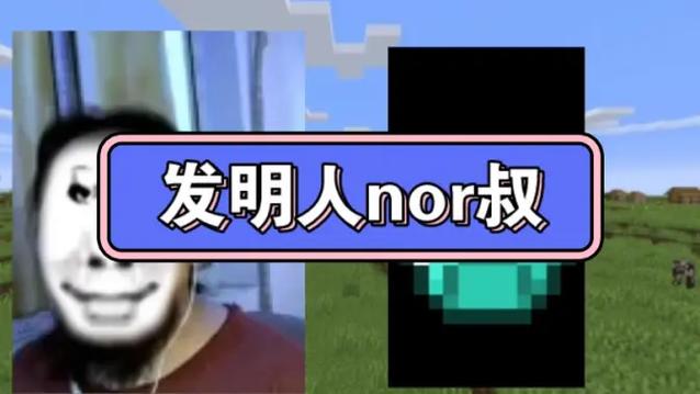 nor叔毕业于哪个大学缩略图