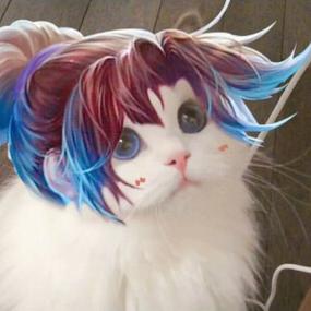 猫王者荣耀头像图片大全图标