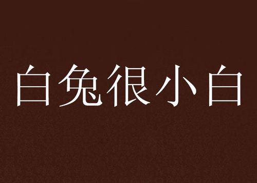 子兮 小说