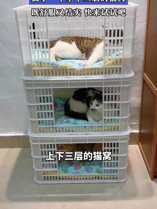 自制最简单的猫窝