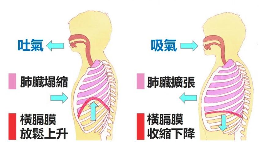 一分钟呼吸四次缩略图