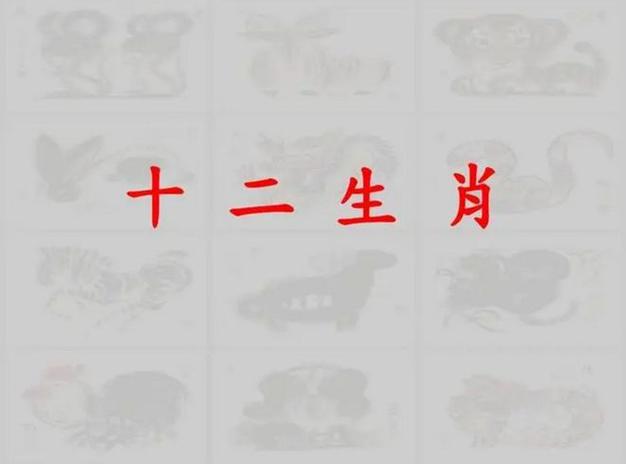 最聪明的生肖第一名