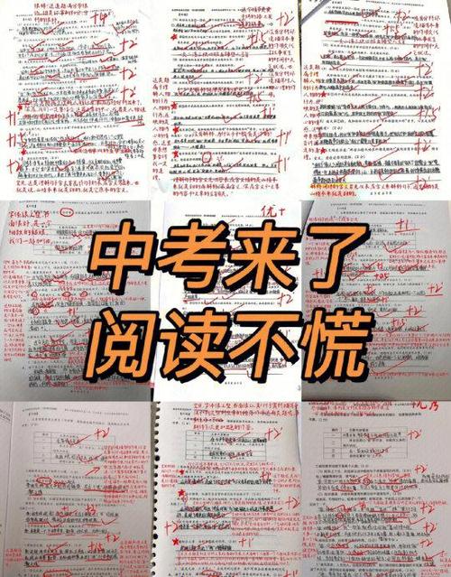 初三语文阅读理解专项训练缩略图