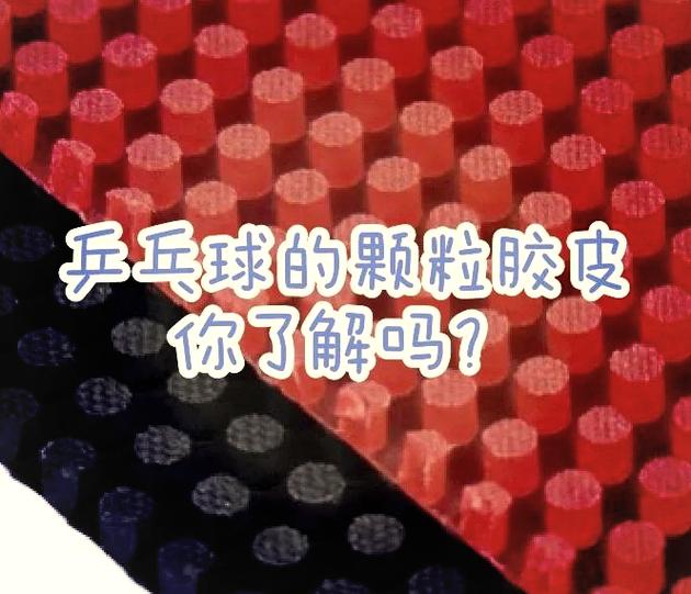 国产乒乓球胶皮缩略图