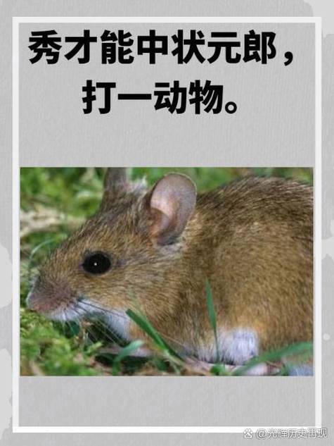 秀才成语是正规平台吗
