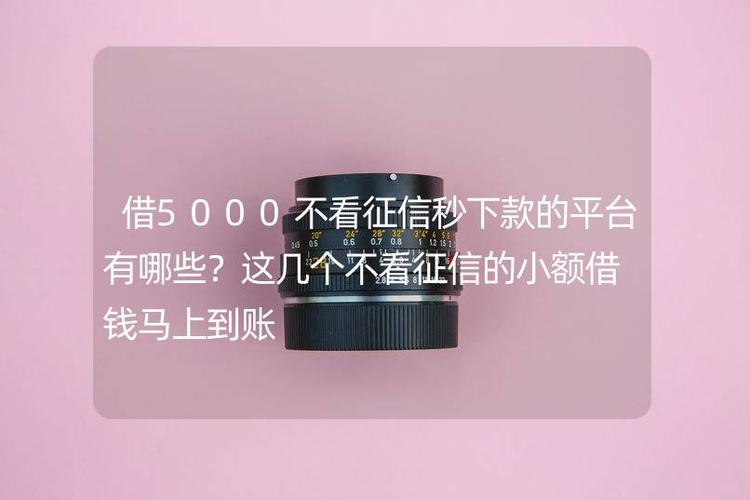 什么借款平台不看征信秒下款