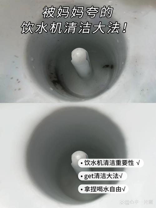饮水机清洗视频教程