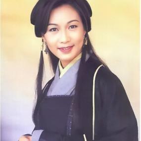 天龙八部之木婉清小说