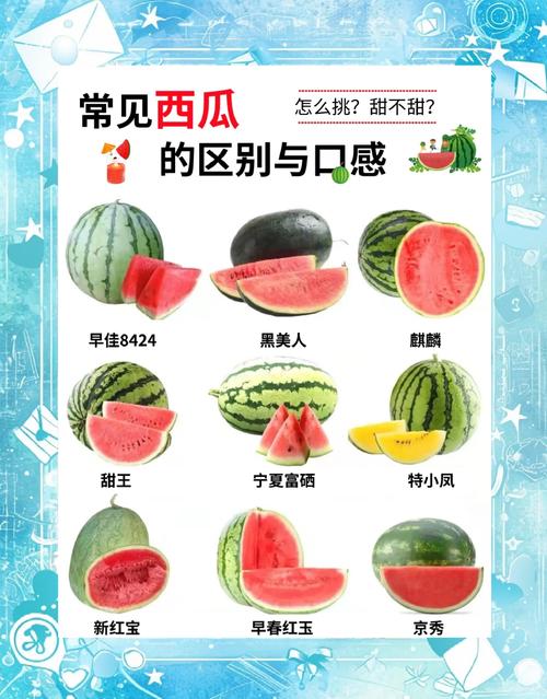 magic至臻版跟普通版区别