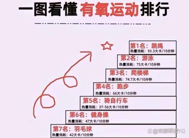 有氧耐力和燃脂的关系截图