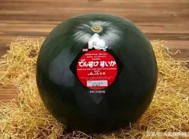 怎么赚葡萄币