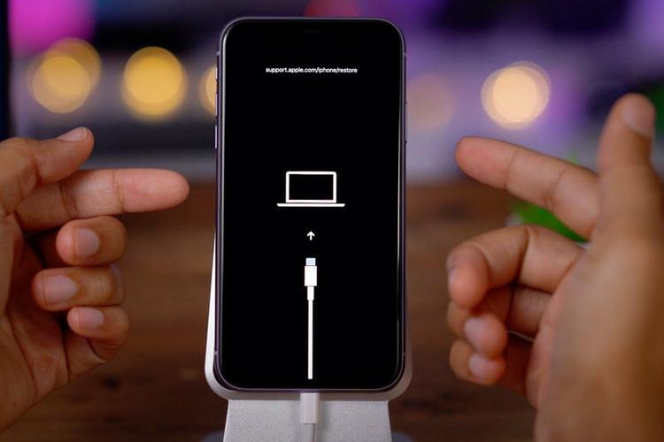 将 iphone置于恢复模式