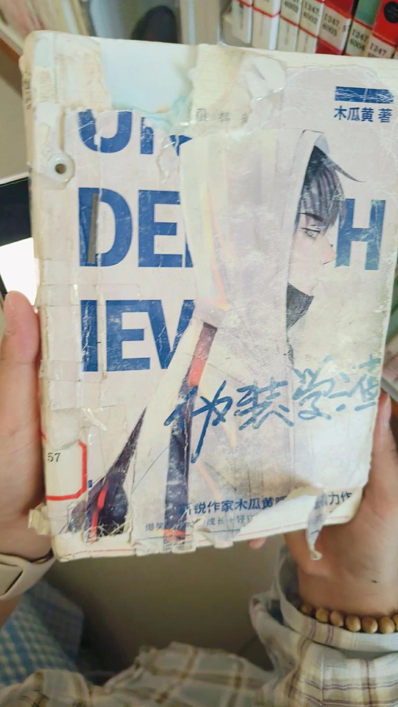 书耽旧版