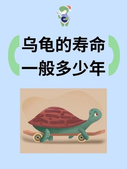 乌龟的寿命是多少年
